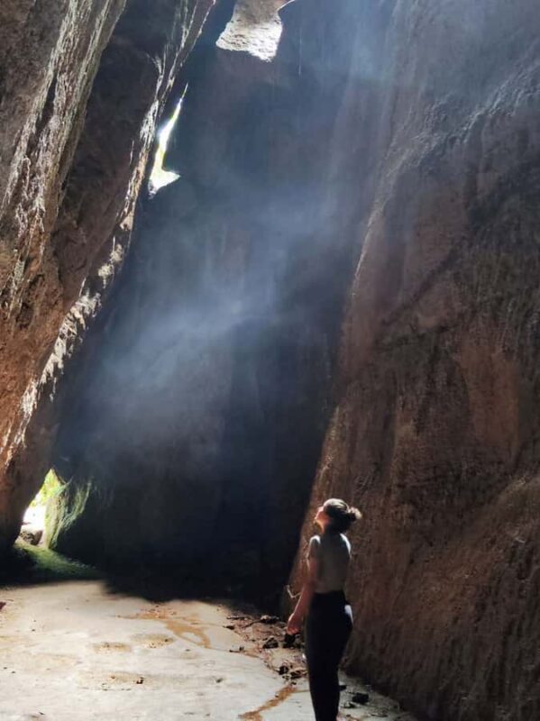 Tijuca Forest´s hike: caves, waterfalls and great views - A Deep Dive into the Tijuca Forest Hike