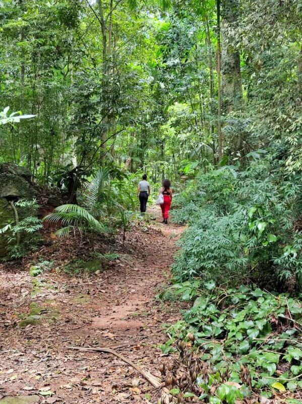 Tijuca Forest´s hike: caves, waterfalls and great views - Frequently Asked Questions