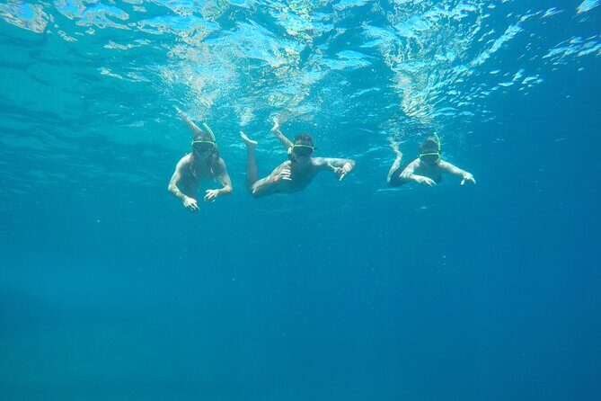 Tijuca Islands Snorkeling & Whale Watching Boat Tour from Rio - Key Points