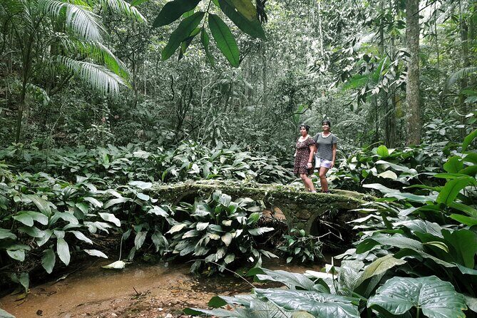 Tijuca National Park and all its wonders - Logistics and Practicalities