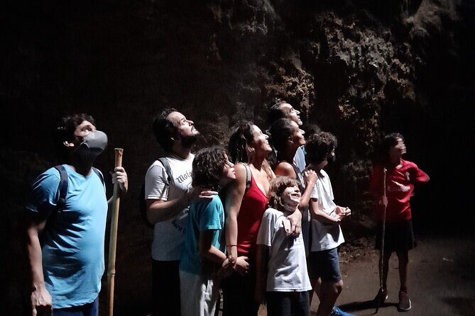 Tijuca National Park and all its wonders - What Past Travelers Say