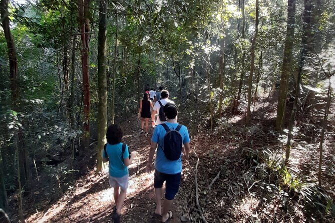 Tijuca National Park and all its wonders - Key Points