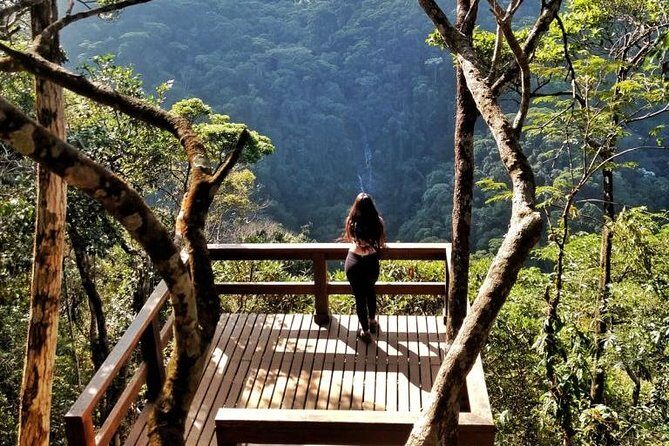 Tijuca National Park and Botanic Garden Guided Tour & Transfer - Who Will Love This Tour?