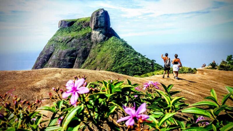 Tijuca National Park Small-Group Hike to Pedra Bonita - Who is This Tour Best For?