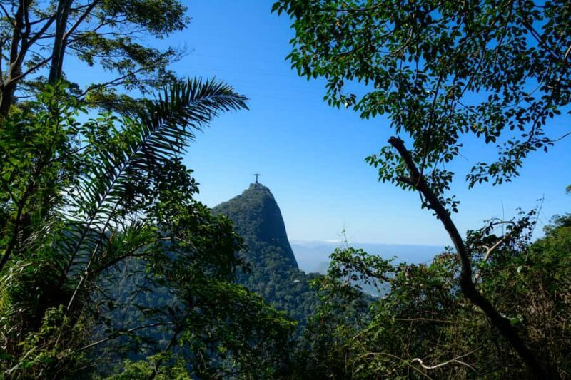 Tijuca National Park with a Photographer - Starting with Christ the Redeemer