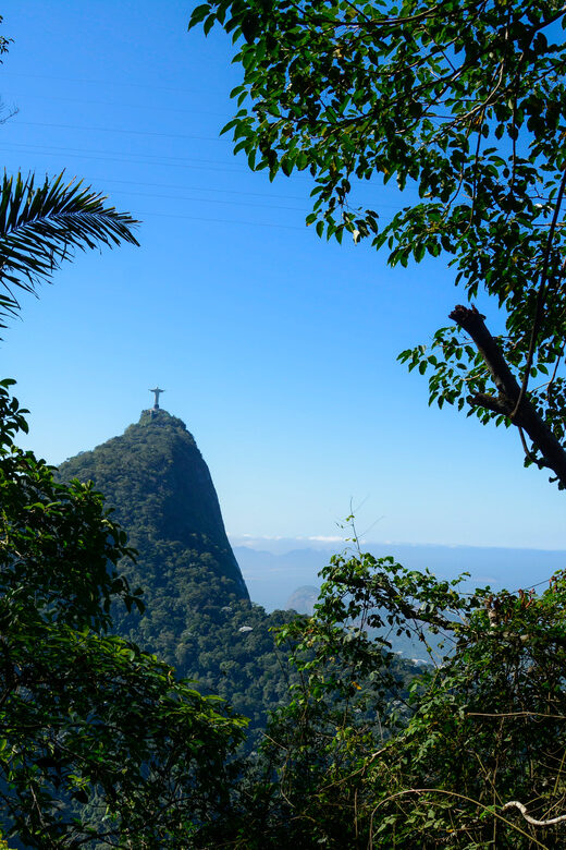 Tijuca National Park with a Photographer - Practical Considerations