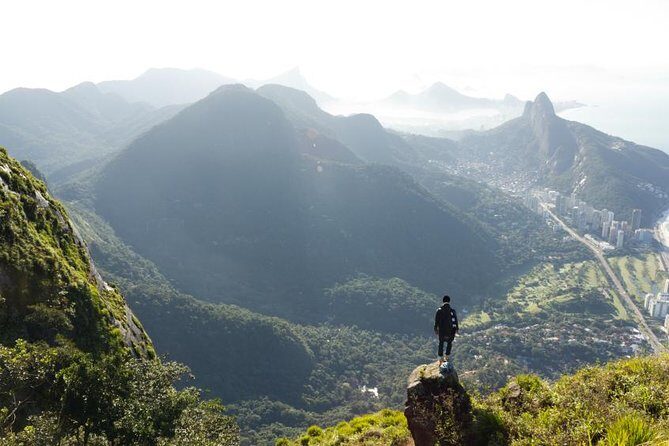 Tijuca Rainforest Hiking Tour in Rio de Janeiro - An In-Depth Look at the Tijuca Rainforest Hiking Tour