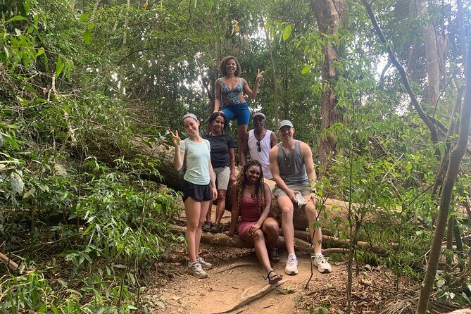 Tijuca Rainforest Waterfalls, Wildlife, Caves and Rio Scenic View - Key Points