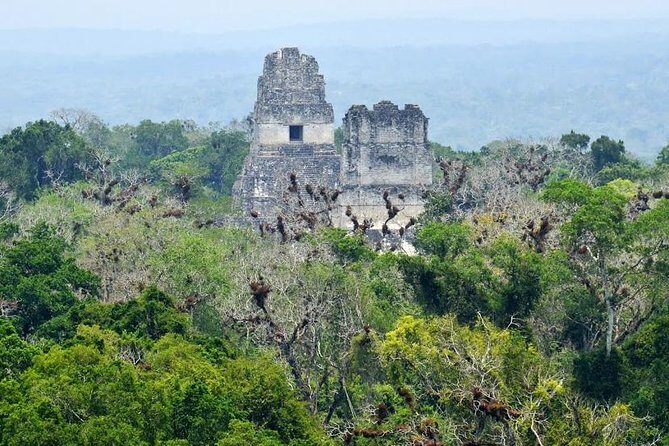 Tikal Day Trip by Air from Guatemala City with Lunch - Key Points