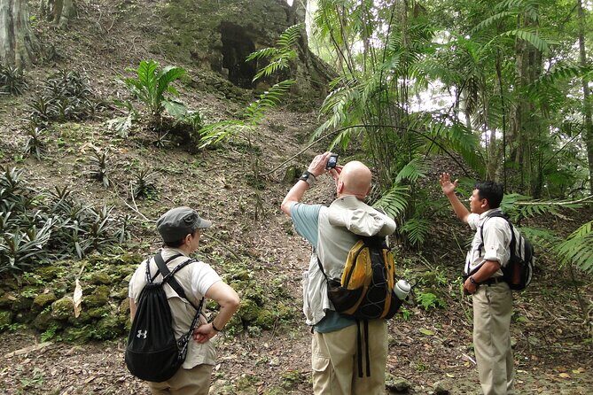 Tikal Exclusive Full-Day Tour - In-Depth Review of the Tikal Exclusive Full-Day Tour