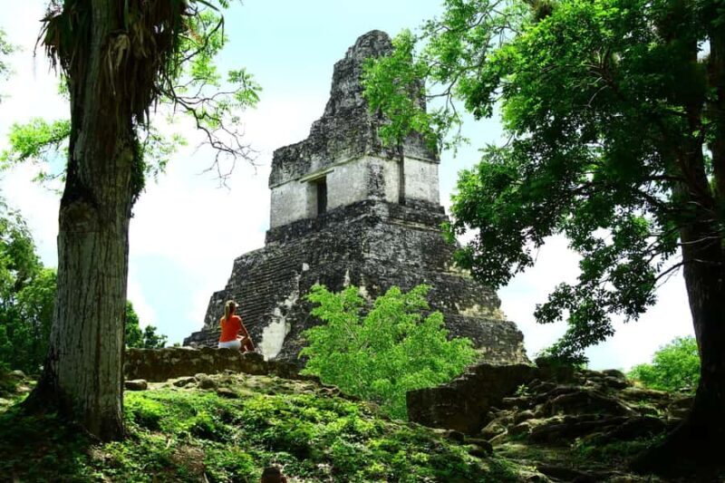 Tikal Exclusive Group Tour - Exploring the Tikal Exclusive Group Tour in Detail