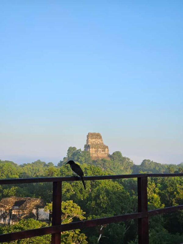 Tikal From Guatemala - Key Points