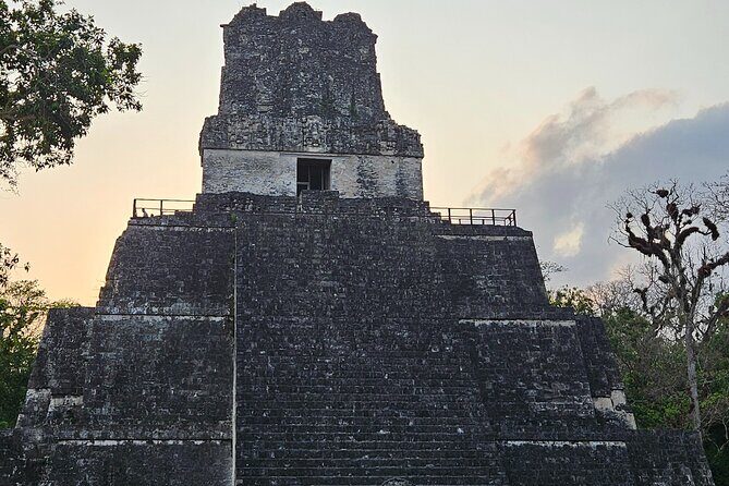 Tikal from Hotels in Flores, Airport, El Remate with Lunch - Exploring the Tikal Tour: An In-Depth Look