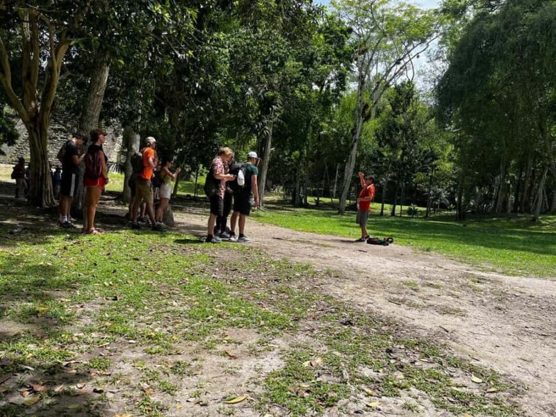 Tikal Group Tour from Flores - Discovering Tikal: What to Expect from This Tour