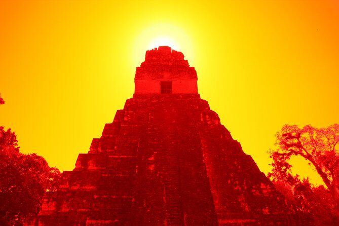 Tikal Maya Ruins Day Tour - Exploring the Tikal Maya Ruins Day Tour in Detail