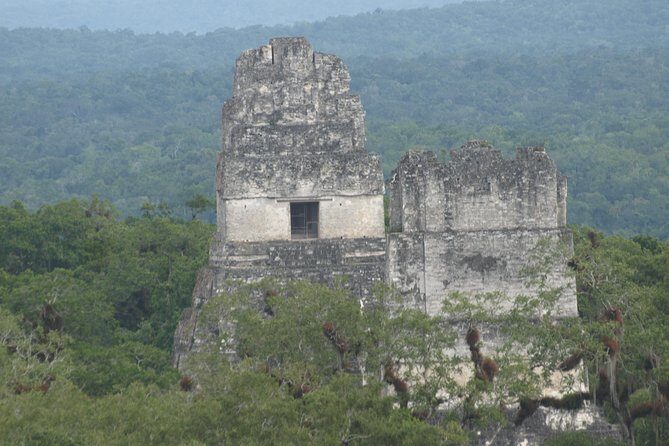 Tikal Maya Site with Local Guide & Lunch - What Previous Travelers Say