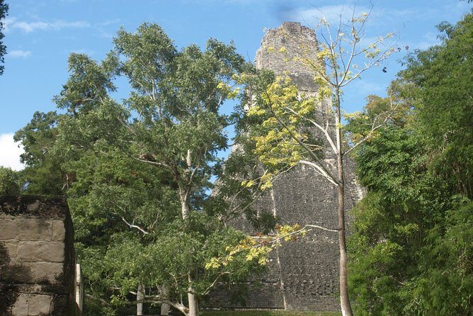 Tikal Maya Site with Local Guide & Lunch - FAQ