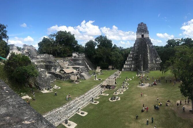Tikal Private Day Tour Maya Adventure from Flores - The Complete Experience: An In-Depth Review