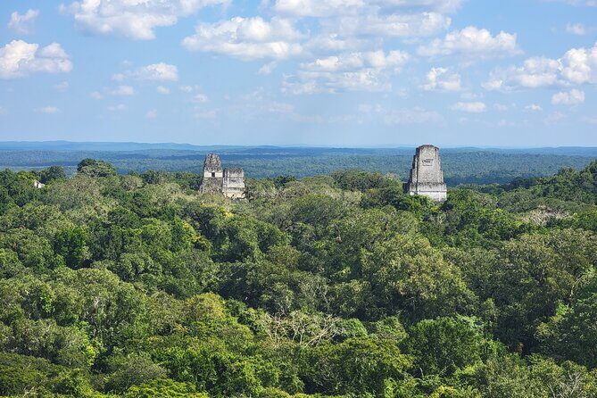 Tikal Private Tour from Flores Guatemala with Transportation - Key Points
