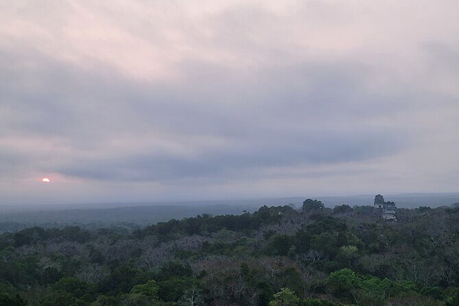 Tikal Private Tour from Flores Guatemala with Transportation - The Sum Up