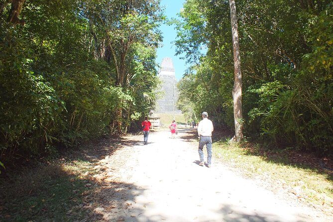 Tikal Ruins Day Tour from Flores - Key Points