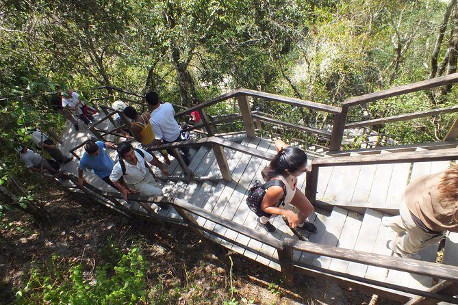 Tikal Ruins Day Tour from Flores - Final Thoughts