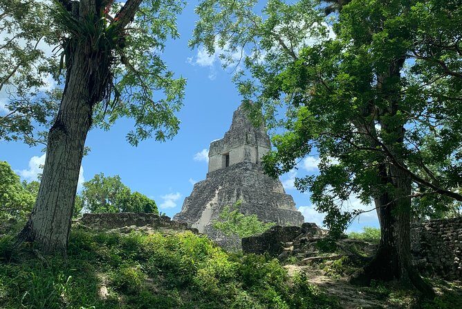 Tikal Shared Experience: Flight + One Day Tour from Antigua - The Complete Breakdown of the Experience