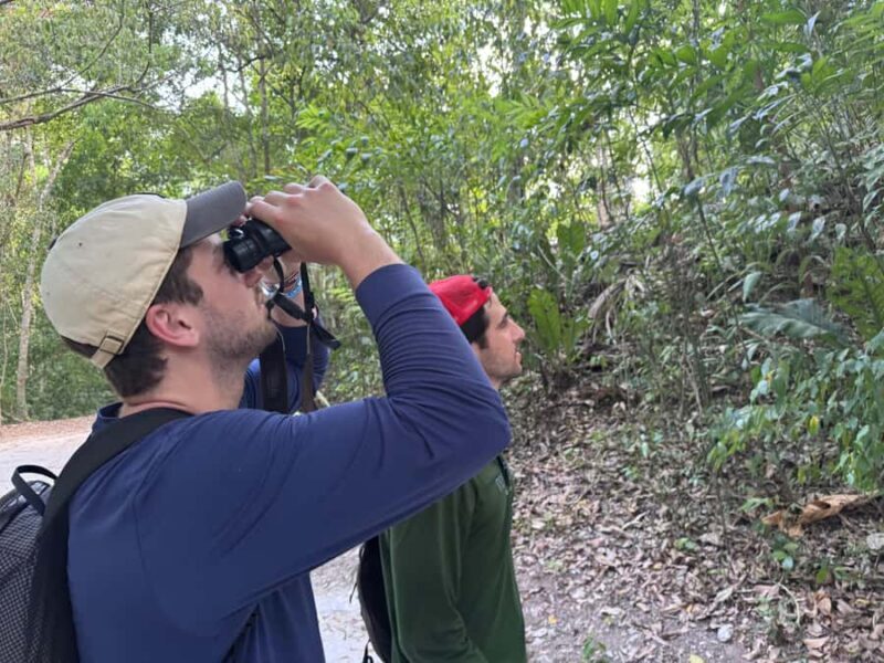 Tikal Sunset, Archeological focus and Wildlife Spotting - Tikal Sunset, Archeological Focus, and Wildlife Spotting: A Deep Dive into Guatemala’s Mayan Marvel