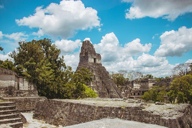 Tikal Tour From Antigua - A Closer Look at the Tikal Tour Experience
