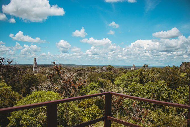 Tikal Tour From San Ignacio Belize - What We Love About This Tour