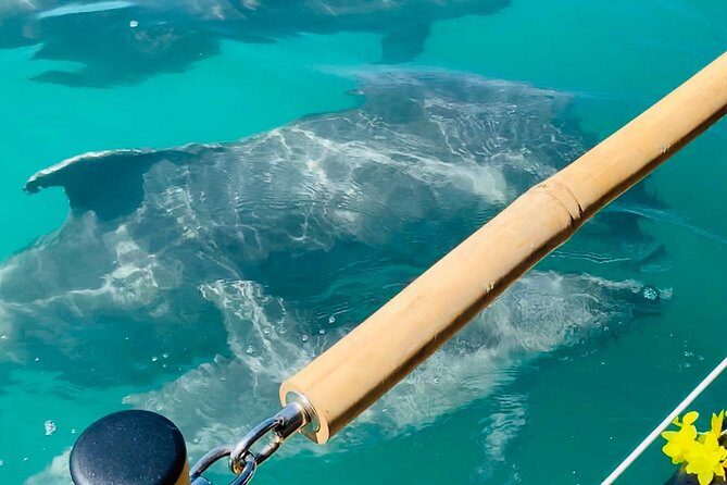 Tiki Boat - Clearwater - The Only Authentic Floating Tiki Bar - Final Thoughts