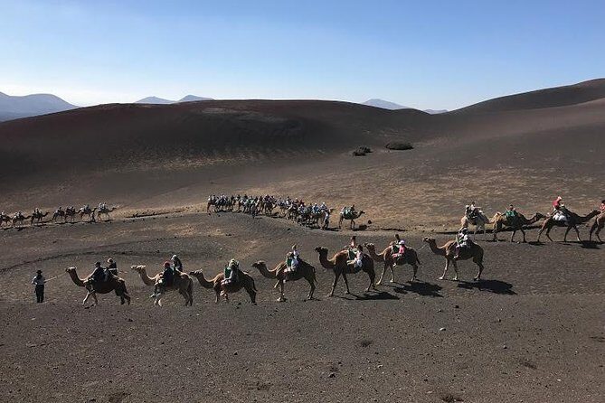 Timanfaya & Lanzarote Volcano Experience - What to Expect from the Itinerary