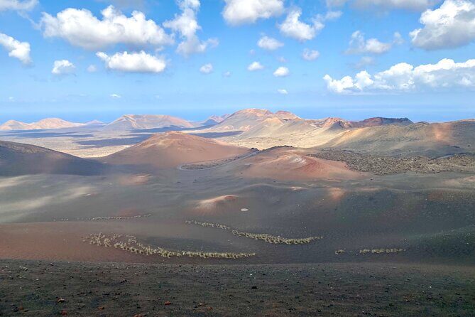 Timanfaya National Park Morning Tour - Who Should Consider This Tour?