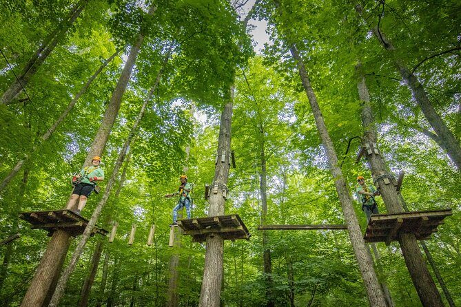 TimberTrek Treetop Challenge Adventure - A Deep Dive into the TimberTrek Treetop Challenge Adventure