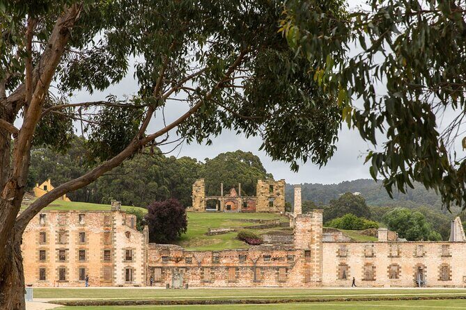 Time Traveler Tale Unveiling History at Port Arthur Full Day Tour - Why This Tour Stands Out