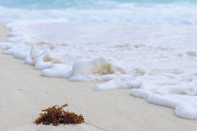 Timeless Photography Sessions in Cancun and Riviera Maya - Discovering the Experience in Detail