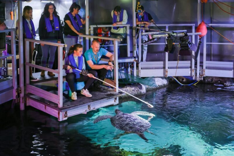Timmendorfer Strand: SEA LIFE Behind the Scenes Tour - Key Points