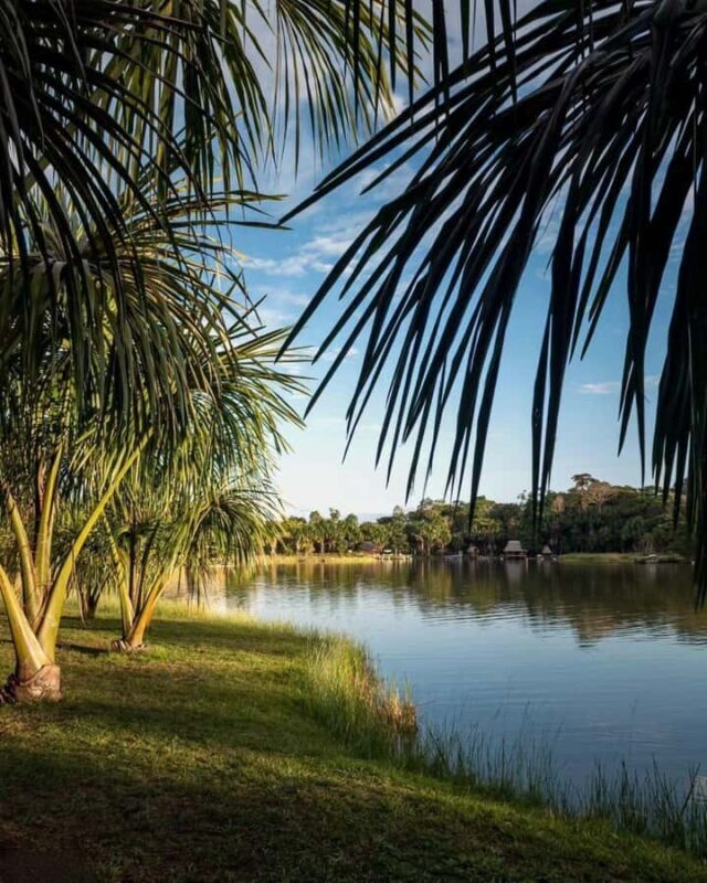 Tingo María: Boating on Laguna Milagros - Miracles Lagoon - Starting Point: Tingo María and Pickup