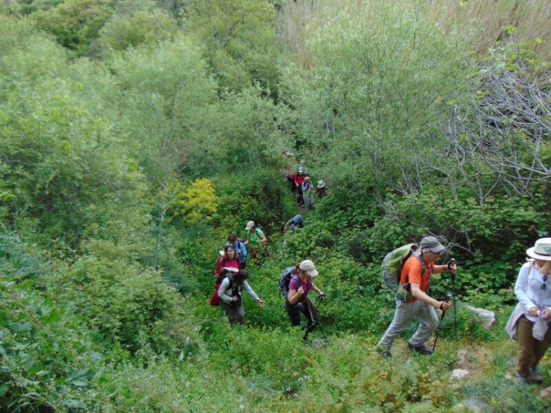 Tinos: Tarampados to Komi Guided Hiking Tour - Tinos: Tarampados to Komi Guided Hiking Tour — A Deep Dive into Authentic Island Life