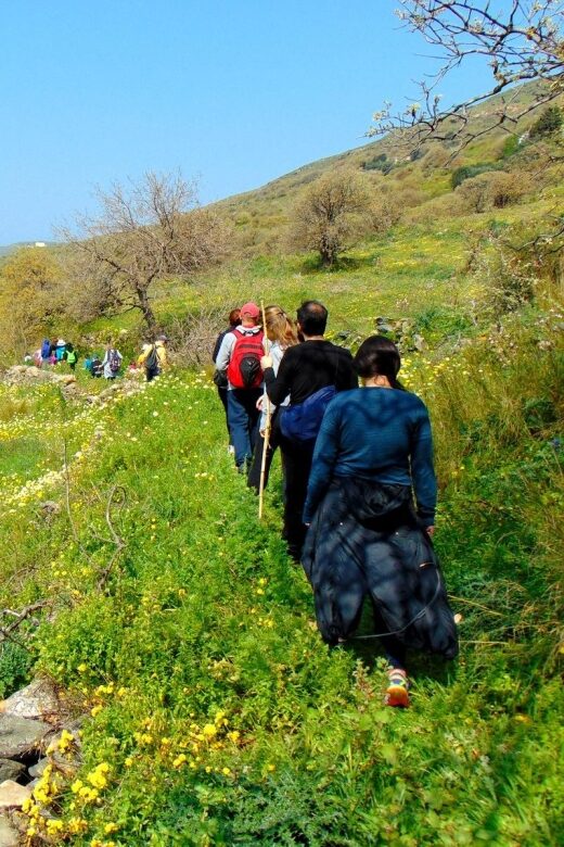 Tinos: Tarampados to Komi Guided Hiking Tour - Why This Tour Offers Real Value