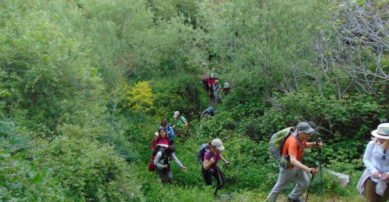 Tinos: Tarampados to Komi Guided Hiking Tour - FAQ