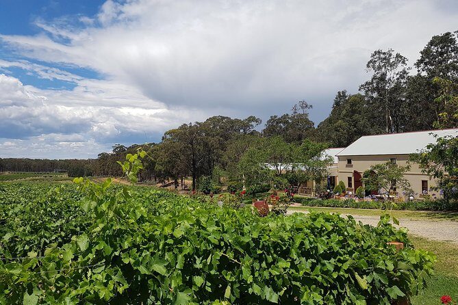 Tintilla Estate: Wine Tasting with a Meat and Cheese Platter - Key Points