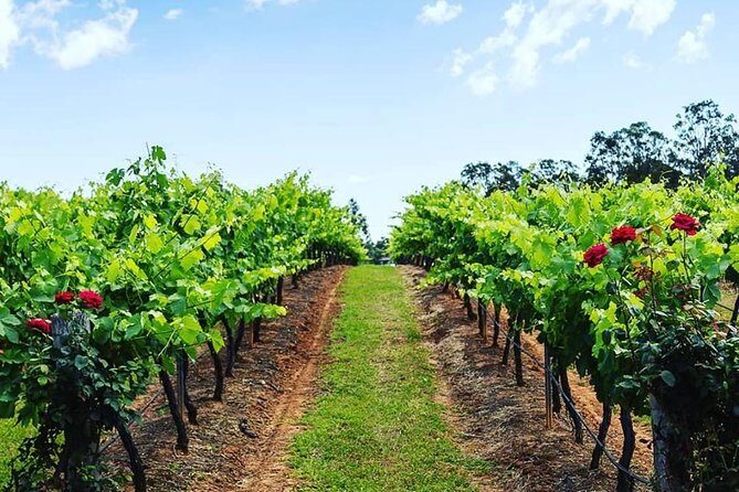 Tintilla Estate: Wine Tasting with a Meat and Cheese Platter - Frequently Asked Questions (FAQs)