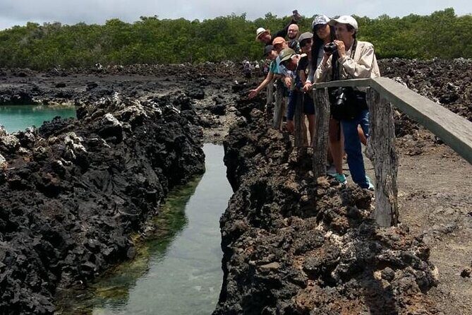 Tintoreras Islet Tour from Isabela - Hiking & Snorkeling - Key Points