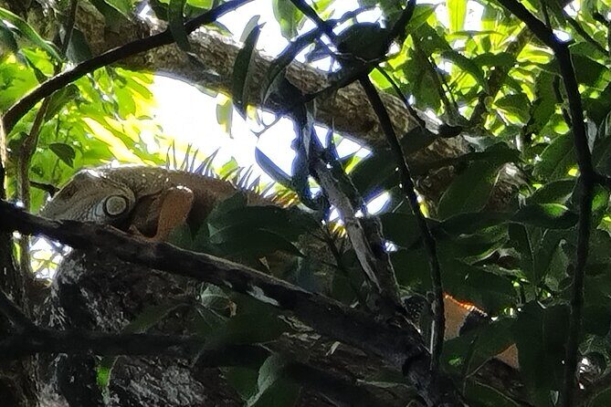 Tio Leo Coffee Tour - The Sum Up: Is This Tour Right for You?