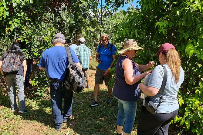 Tio Leo Coffee Tour - Who Should Consider This Tour?