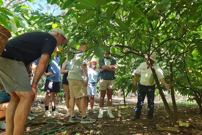 Tio Leo Coffee Tour - The Sum Up: Why This Tour Is a Great Choice