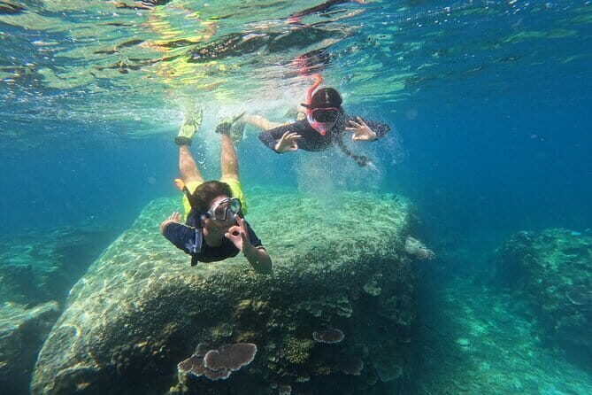 Tioman Coral Island Snorkeling & Island Hopping Tour - The Realities of the Tour Experience
