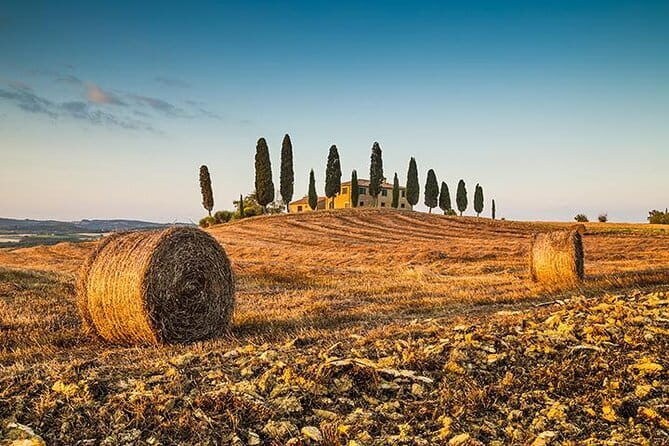 Tipsy Tour: Fun Bar Crawl In Florence with Local Guide - Whos This Tour Best For?