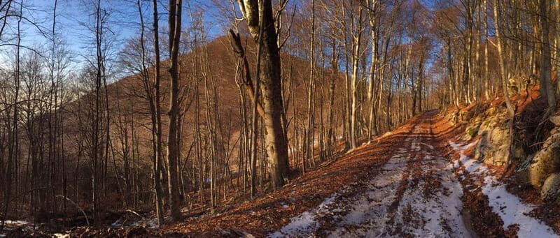 Tirana: Dajti Mountain Half-Day Trip with Cable Car Ticket - Who Will Enjoy This Tour Most?